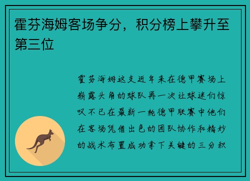 霍芬海姆客场争分，积分榜上攀升至第三位