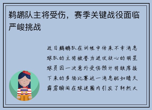鹈鹕队主将受伤，赛季关键战役面临严峻挑战